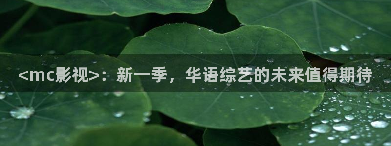 暴风眼西瓜影院免费观看