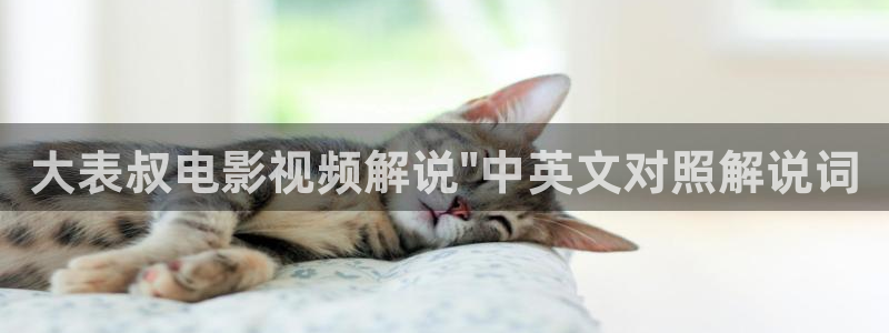 西瓜网在线观看