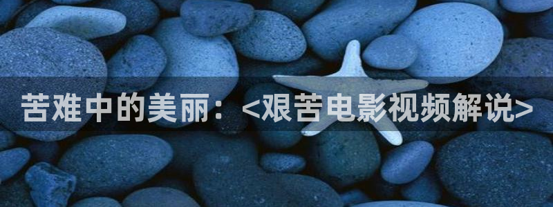 西瓜看球在线免费观看