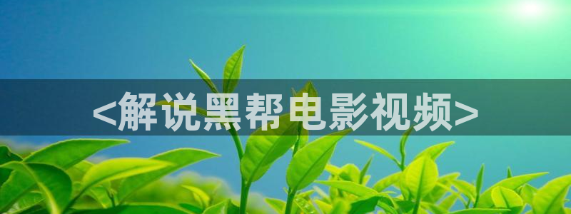 西瓜影院少帅