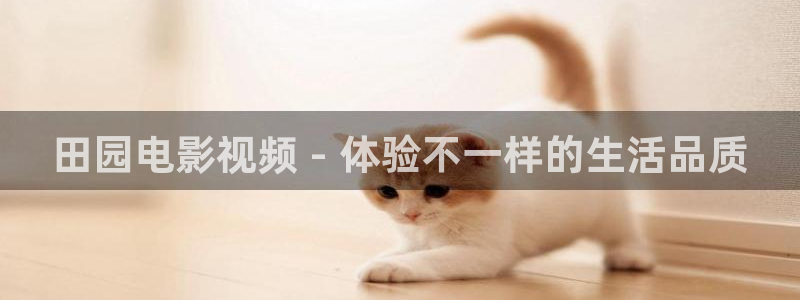 西瓜影院2020