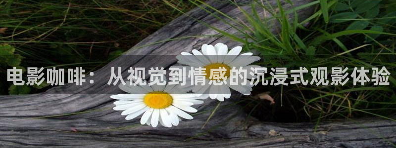 我们不能是朋友西瓜免费观看