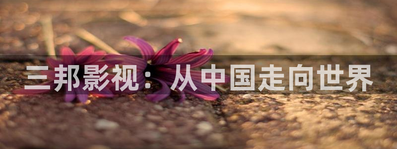 西瓜电影天狼