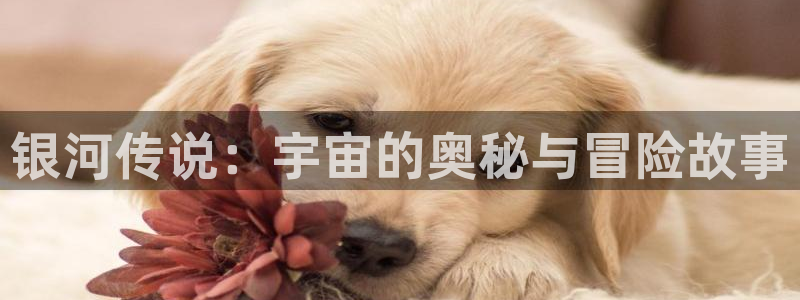 沉香如屑免费观看西瓜