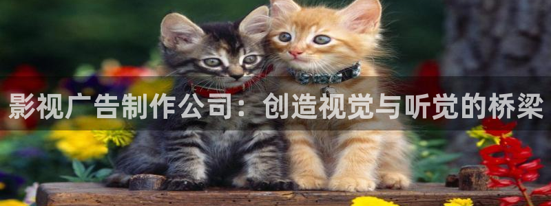 短柄斧1免费完整观看西瓜：影视广告制作公司：创造视觉与听觉的桥梁