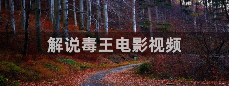 爱在离别时电视剧免费观看西瓜：解说毒王电影视频