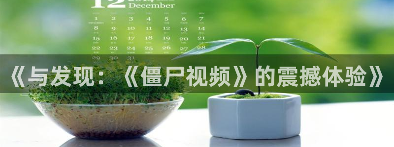 完美关系免费观看西瓜：《与发现：《僵尸视频》的震撼体验》