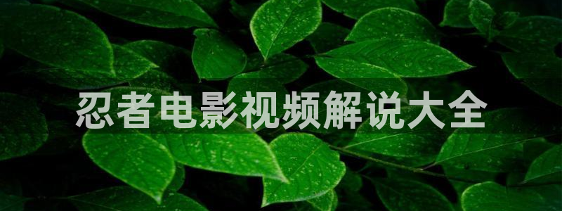 西瓜影院av：忍者电影视频解说大全