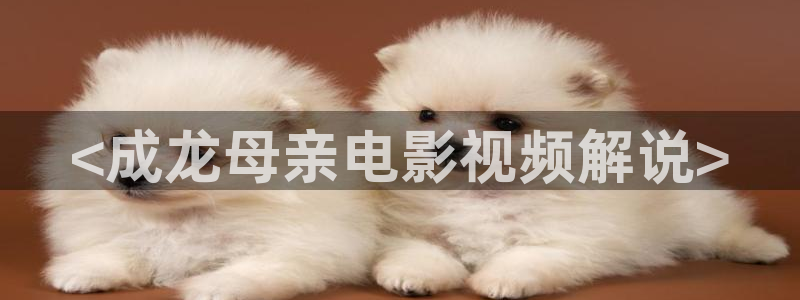 小丈夫西瓜在线电视剧：<成龙母亲电影视频解说>