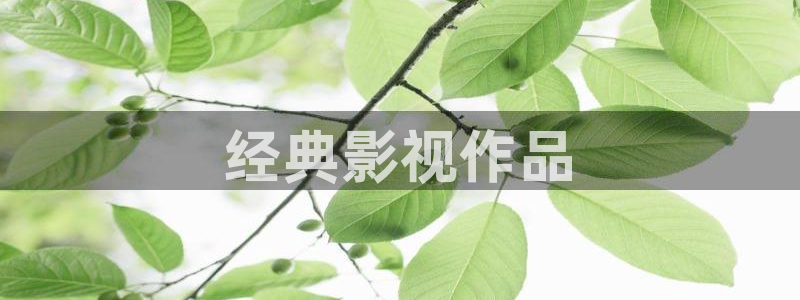 西瓜音影天狼影院：经典影视作品