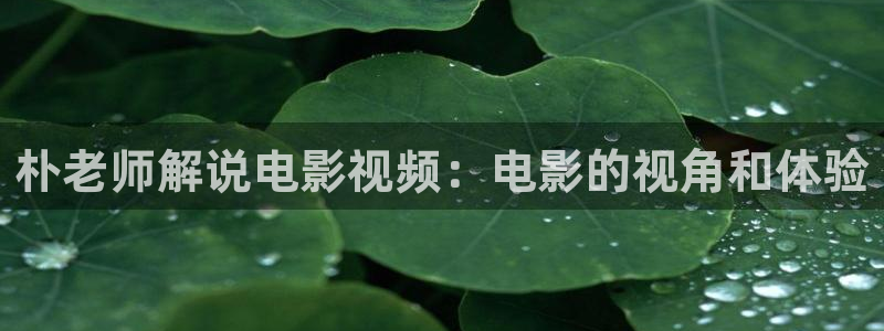 反转人生西瓜影院：朴老师解说电影视频：电影的视角和体验