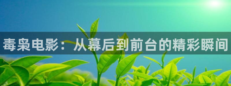 西瓜影院高清午夜：毒枭电影：从幕后到前台的精彩瞬间