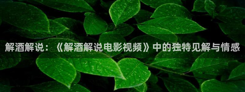 天盛长歌在线观看免费西瓜影院：解酒解说：《解酒解说电影视频》中的独特见解与情感