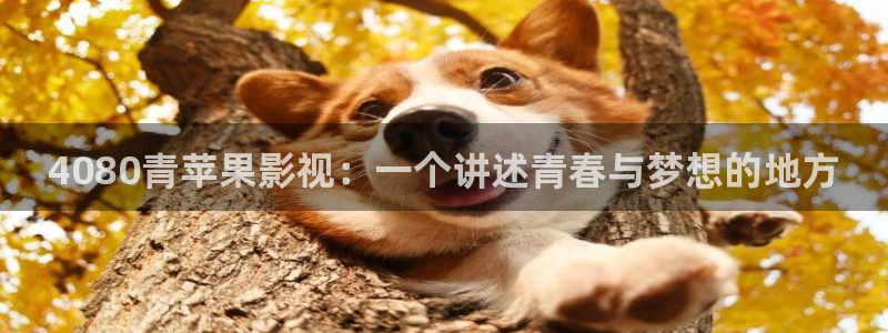 西瓜电影2025年